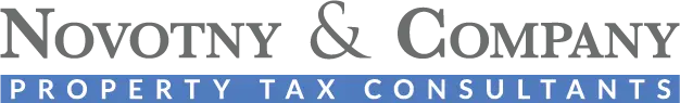 Houston Computer Software Development Consulting Service Novotny & Company Client Overview